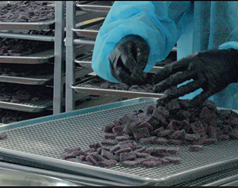 You are currently viewing Edibles 101: How to Dose Safely and Enjoy the Ride